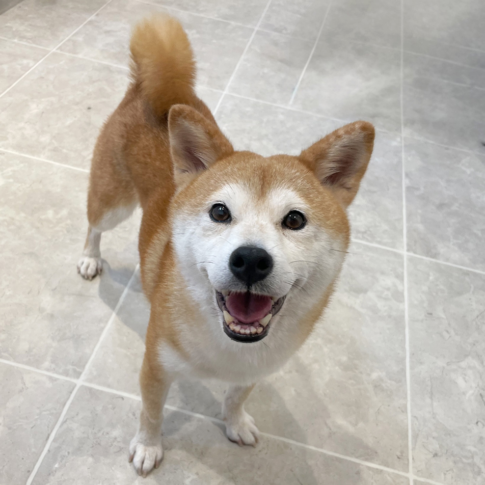 家族が見つかりました