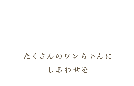 たくさんのワンちゃんにしあわせを